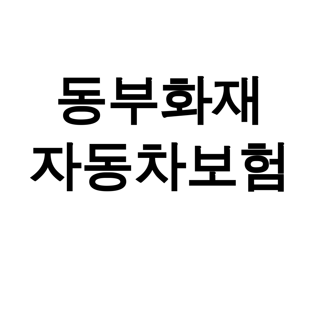 동부화재 자동차보험 DB다이렉트로 바꾸고 200만원 할인받은 후기
