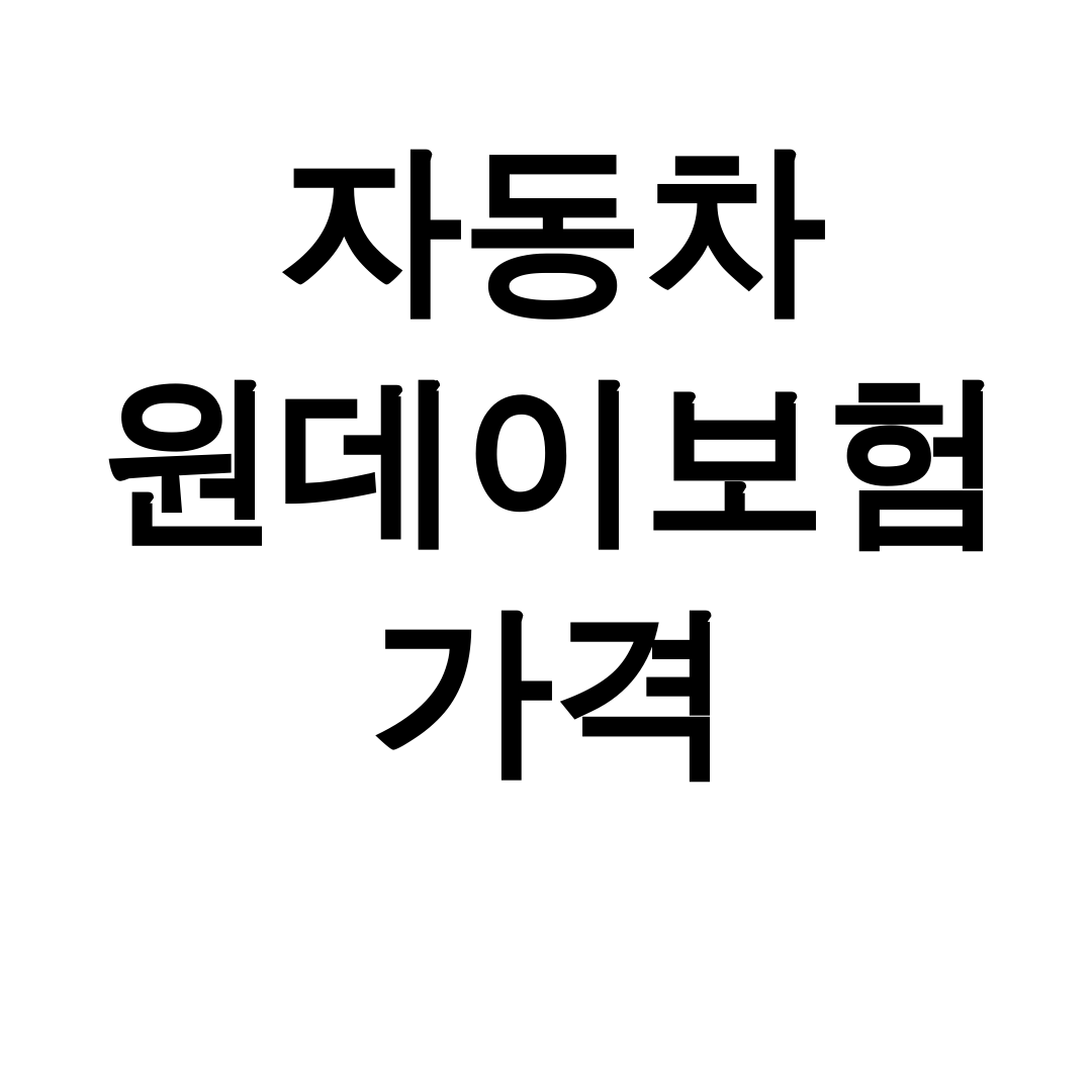 자동차 원데이보험 가격 DB부터 디시까지 총정리 후기 대공개!