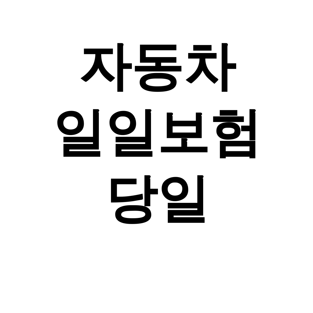 자동차 일일보험 당일 가격비교 끝판왕 리얼후기 대공개!
