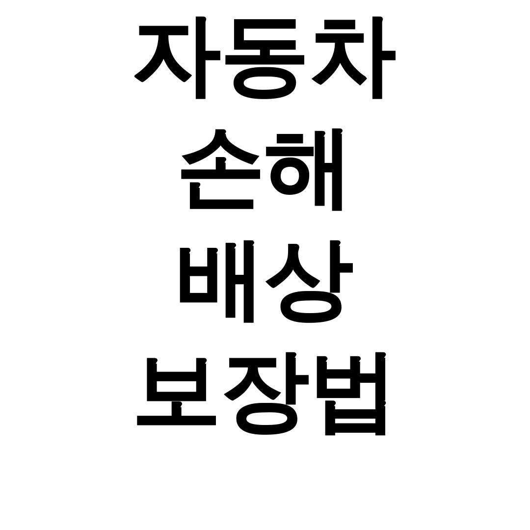자동차 손해 배상 보장법