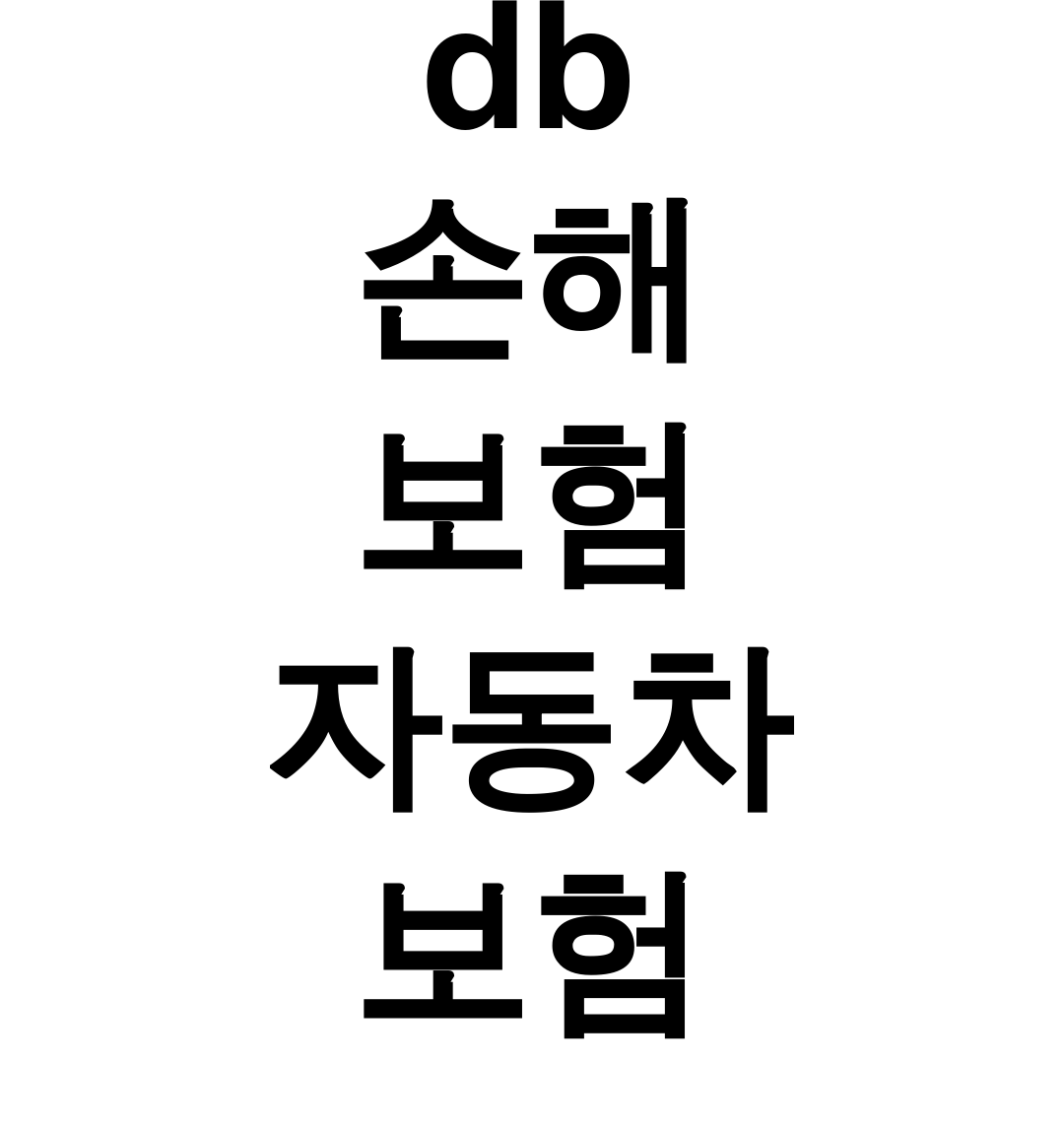 db 손해 보험 자동차 보험