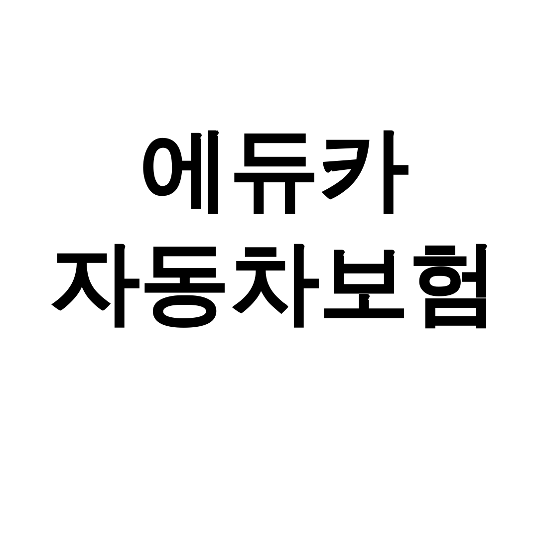 에듀카 자동차보험