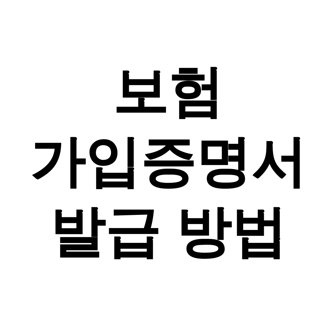 보험 가입증명서 발급 방법